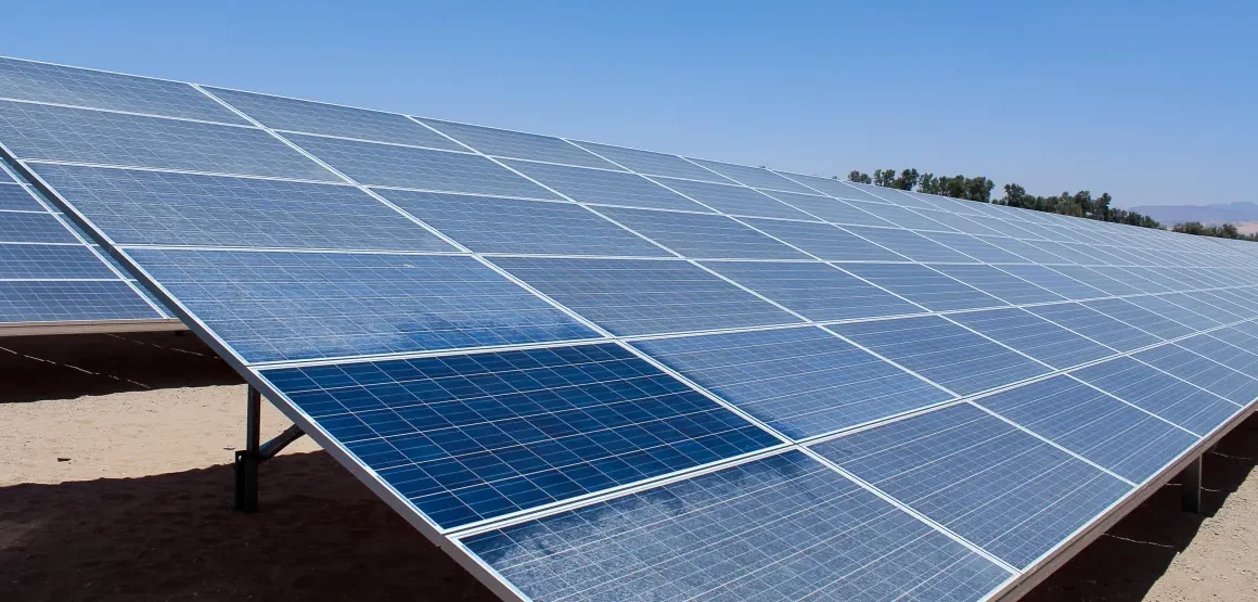 Limpieza profesional de paneles solares en planta fotovoltaica
